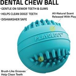 Playology Peanut Butter Scented Dental Chew Ball Dog Toy, Medium slide 2 of 6
