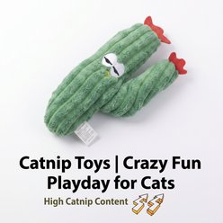 Kseroo Cactus Catnip Plush Dental Exercise Chew Cat Toy, Green slide 2 of 7