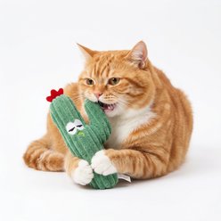 Kseroo Cactus Catnip Plush Dental Exercise Chew Cat Toy, Green
