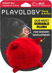 Playology Beef Scented Young & Active Sensory Ball Dog Toy, Small