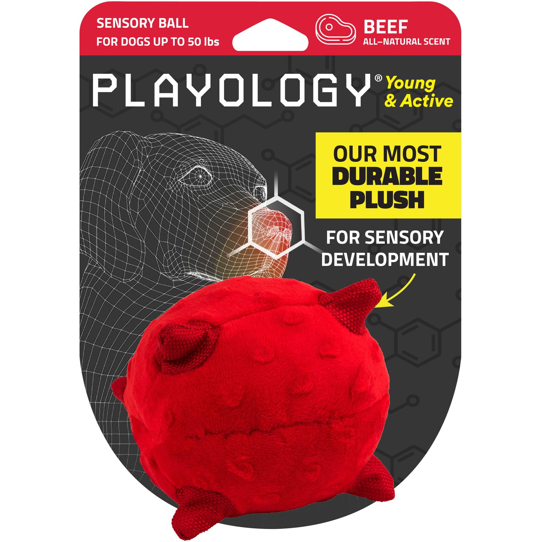 Playology Beef Scented Young & Active Sensory Ball Dog Toy, Small