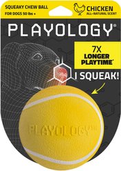 Playology Chicken Scented Squeaky Chew Ball Dog Toy, Jumbo