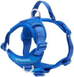 RC Pets Momentum Reflective Front & Back-Clip Dog Harness, Sapphire, Small: 18 to 22-in chest slide 1 of 8