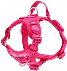 RC Pets Momentum Reflective Front & Back-Clip Dog Harness, Azalea, Medium: 20 to 28-in chest