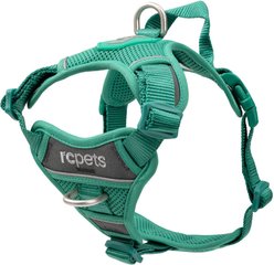 RC Pets Momentum Reflective Front & Back-Clip Dog Harness, Parakeet, Large: 25 to 35-in chest