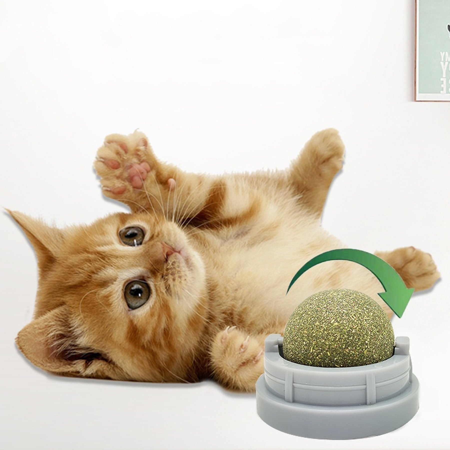 Kseroo Silvervine Balls, Edible Dental Cleaning Lick Treats Exercise Catnip Cat Toy, Grey