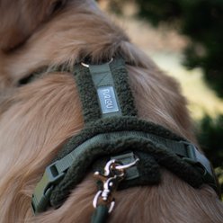 Furlou Sherpa Dog Harness, Moss Green, Medium: 18.5 to 27.5-in chest slide 2 of 4