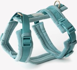 Furlou Velvet Dog Harness, Blue, Medium: 18.5 to 27.5-in chest