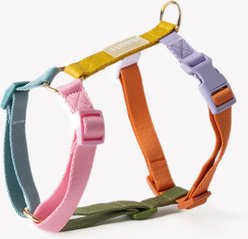 Furlou Nylon Dog Harness, Rainbow, Medium: 20 to 28-in chest