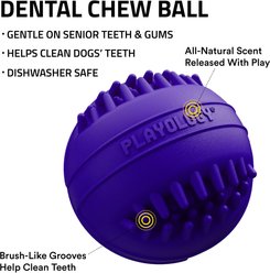 Playology Pork Sausage Scented Dental Chew Ball Dog Toy, Medium slide 2 of 6