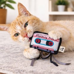 Crochet Kitty Eaten Cassette Tape New Kittens on the Block Cat Toy, Red, 4 x 2.5-in slide 2 of 3