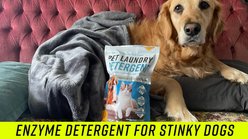 ACTIVE Laundry Detergent Dog & Cat Odor Remover, 2-lb slide 2 of 8