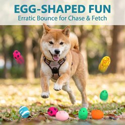 Kseroo Latex Squeaky Soft Bouncing Interactive Chew Egg Balls Dog Toy, 6 count slide 2 of 7