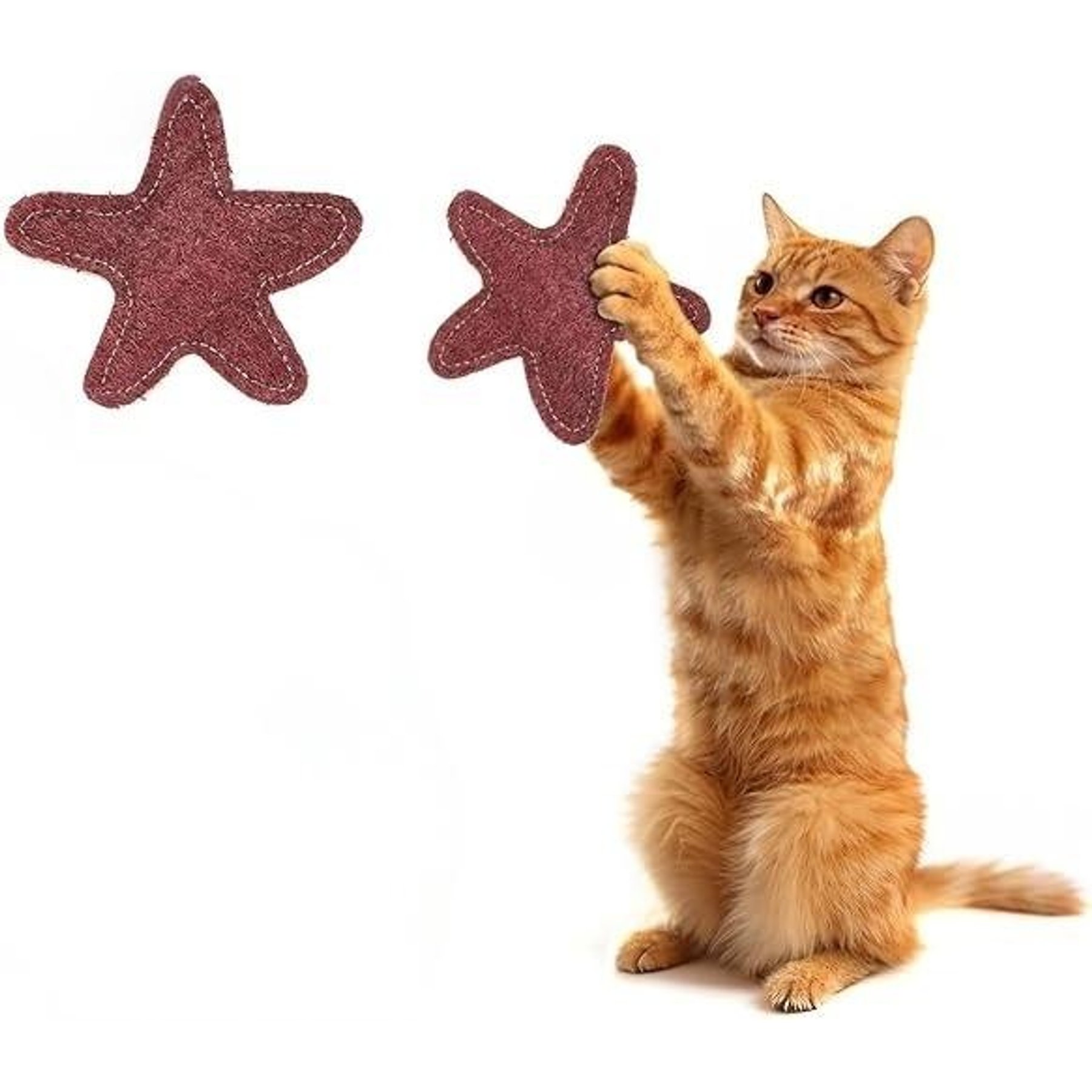 Kseroo Natural Loofah 'Starfish' Cosmic Shape for Play Training Teasers-Wands Cat Toy, Red