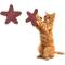 Show in main carousel: Kseroo Natural Loofah 'Starfish' Cosmic Shape for Play Training Teasers-Wands Cat Toy, Red slide 1 of 5