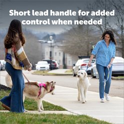 PetSafe Comfort Traffic Handle Dog Leash, 4-ft long, 1-in wide, Green Gingham slide 2 of 8
