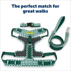 PetSafe Comfort Dog Collar, Green, Small: 10 to 14-in neck, 3/4-in wide slide 2 of 8