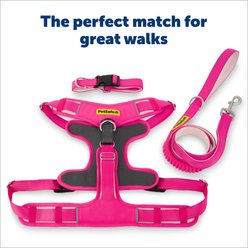PetSafe Comfort Dog Collar, Pink, Small: 10 to 14-in neck, 3/4-in wide slide 2 of 8