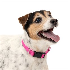 PetSafe Comfort Dog Collar, Pink, Small: 10 to 14-in neck, 3/4-in wide