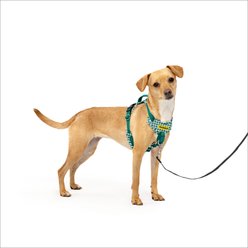 PetSafe Easy Walk Comfort Reflective No Pull Dog Harness, Green Gingham, X-Small: 13 to 19-in chest