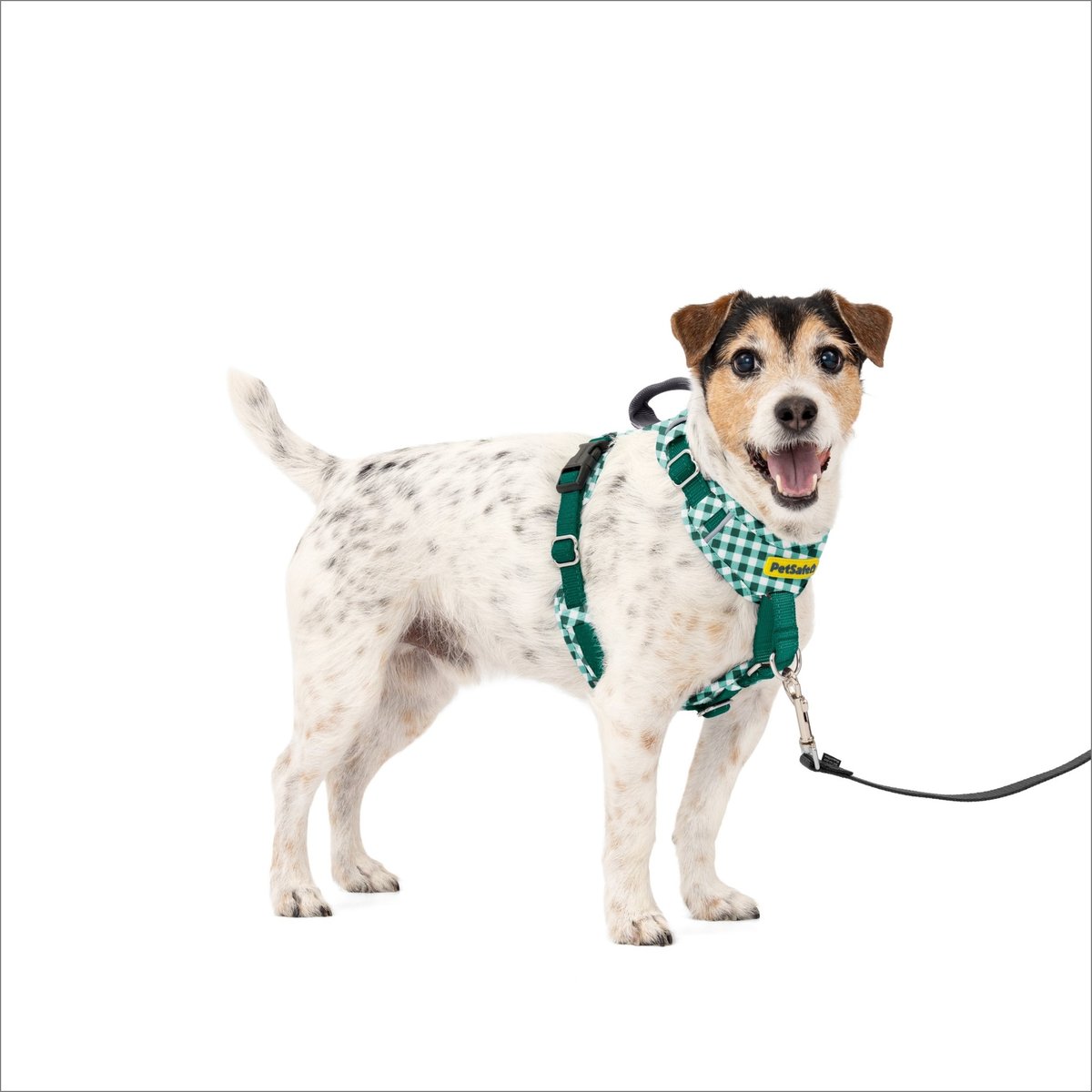 PetSafe Easy Walk Comfort Reflective No Pull Dog Harness, Green Gingham, Small: 19 to 24-in chest