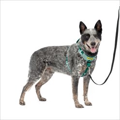 PetSafe Easy Walk Comfort Reflective No Pull Dog Harness, Green Gingham, Medium: 24 to 34-in chest