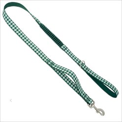 PetSafe Comfort Traffic Handle Dog Leash, 4-ft long, 1-in wide, Green Gingham