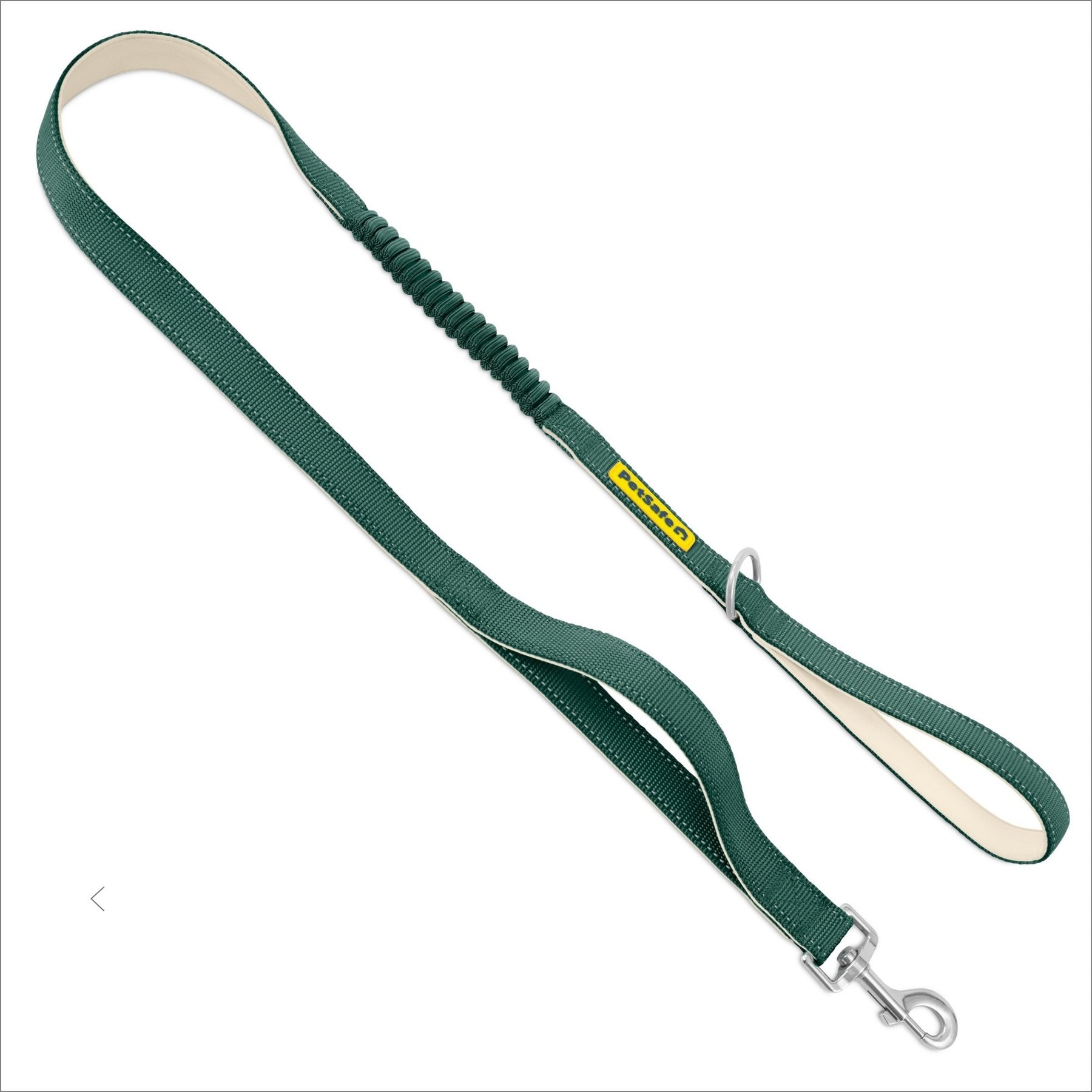 PetSafe Comfort Traffic Handle Dog Leash, 4-ft long, 1-in wide, Green