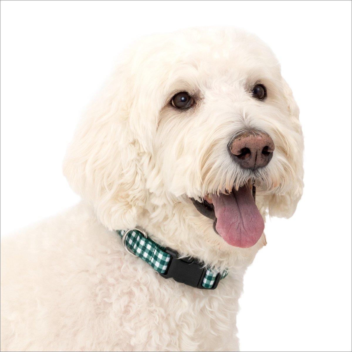 PetSafe Comfort Dog Collar, Green Gingham, Large: 20 to 24-in neck, 1-in wide