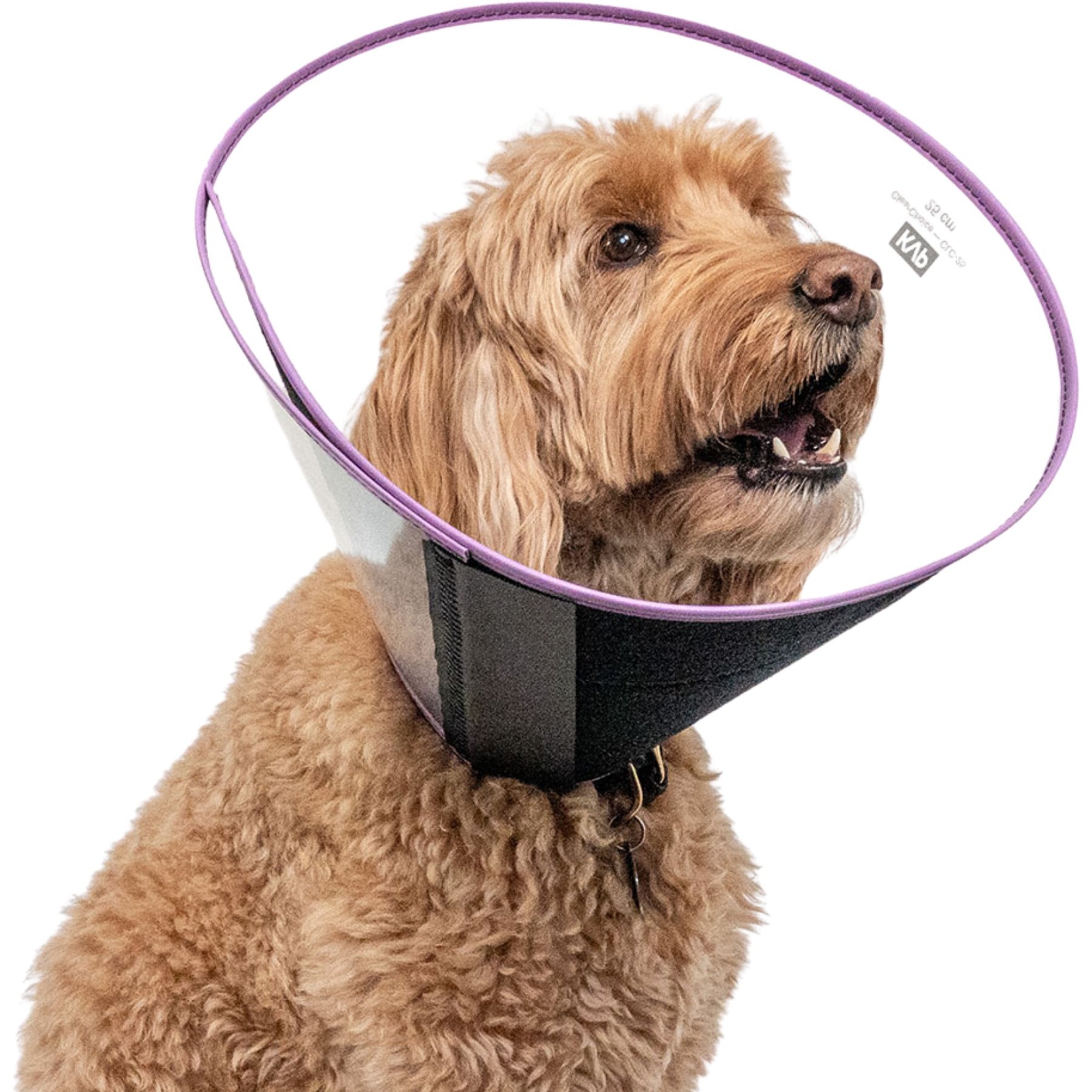 KVP International ClearChoice Dog Recovery Collar, X-Small: 10-cm neck