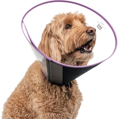 KVP International KVP International ClearChoice Dog Recovery Collar, XX-Small: 7.5-cm neck