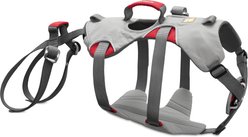 Ruffwear Doubleback Dog Harness, Cloudburst Gray, Large/X-Large: 32 to 42-in chest