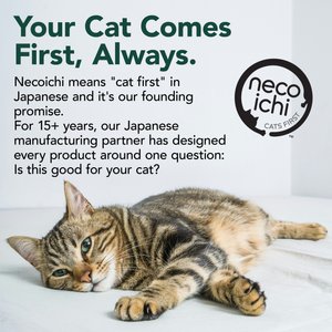 Necoichi Cat Anti-Scratching Sheet, Clear, Large, 18 count