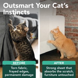 Necoichi Cat Anti-Scratching Sheet, Clear, Large, 18 count