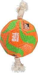 allforpaws Outdoor Titan Paw Ball Dog Toy, Orange/Green