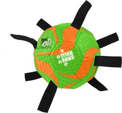 allforpaws Outdoor Action Tug Ball Dog Toy, Orange/Green