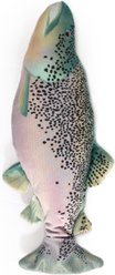 allforpaws Natrual Instinct Jittering Fish Trout Motion Cat Toy, Multicolor