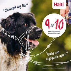 Halti Nylon Padded No Pull Dog Headcollar, Size 3: 15.5 to 21-in neck slide 2 of 4
