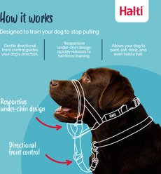 Halti Nylon Padded No Pull Dog Headcollar, Burnt Orange, Size 3: 15.5 to 21-in neck slide 2 of 5