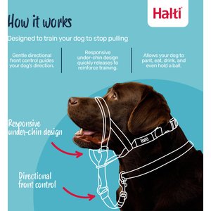 Halti Nylon Padded No Pull Dog Headcollar, Size 3: 15.5 to 21-in neck