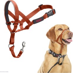 Halti Nylon Padded No Pull Dog Headcollar, Burnt Orange, Size 3: 15.5 to 21-in neck