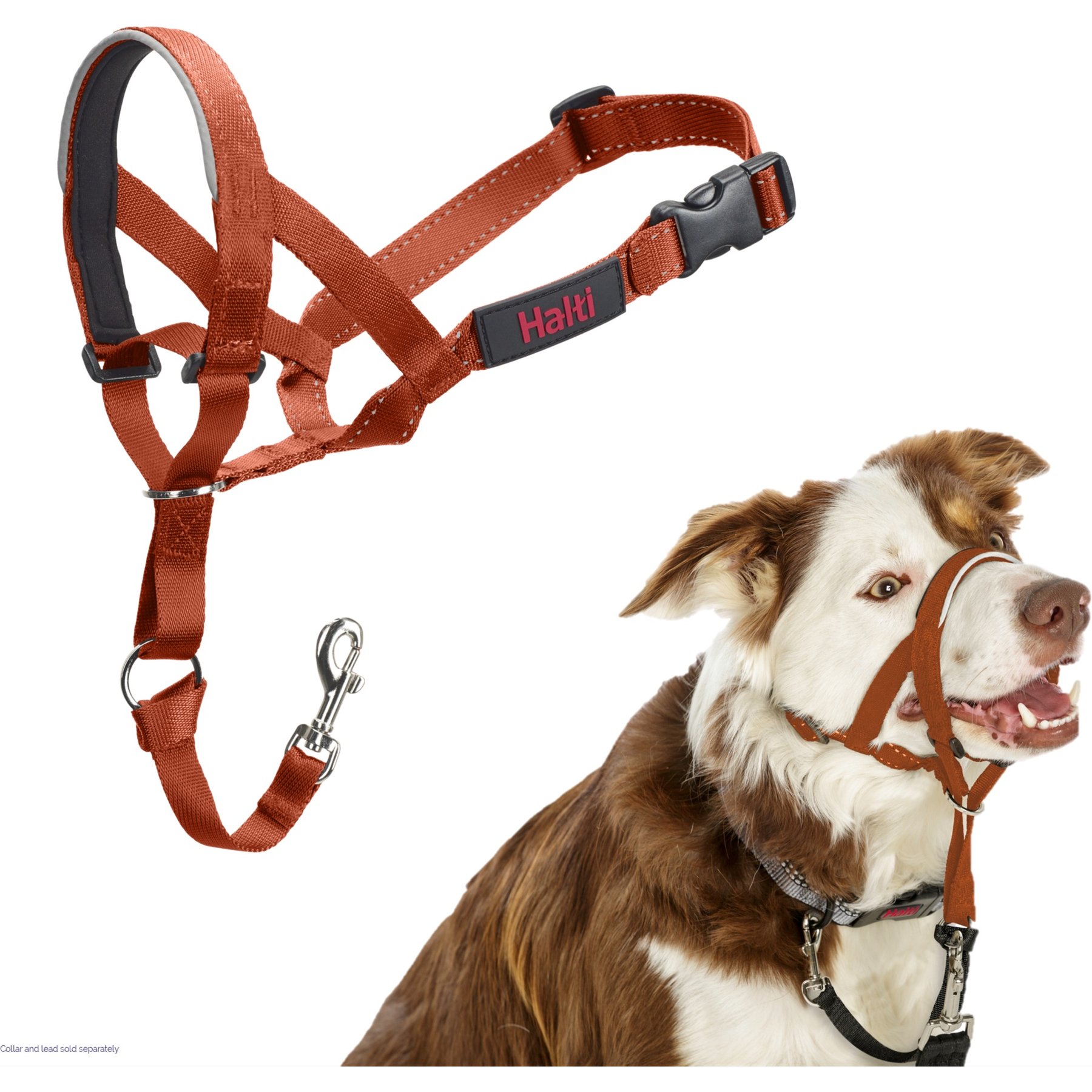 Halti Nylon Padded No Pull Dog Headcollar, Burnt Orange, Size 2: 14 to 19-in neck