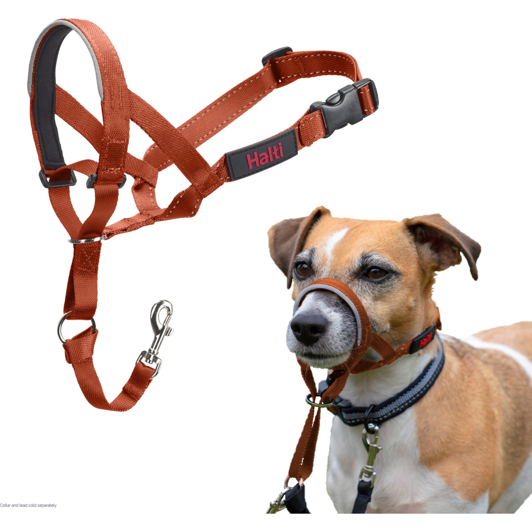 Halti Nylon Padded No Pull Dog Headcollar, Burnt Orange, Size 1: 12 to 15.5-in neck