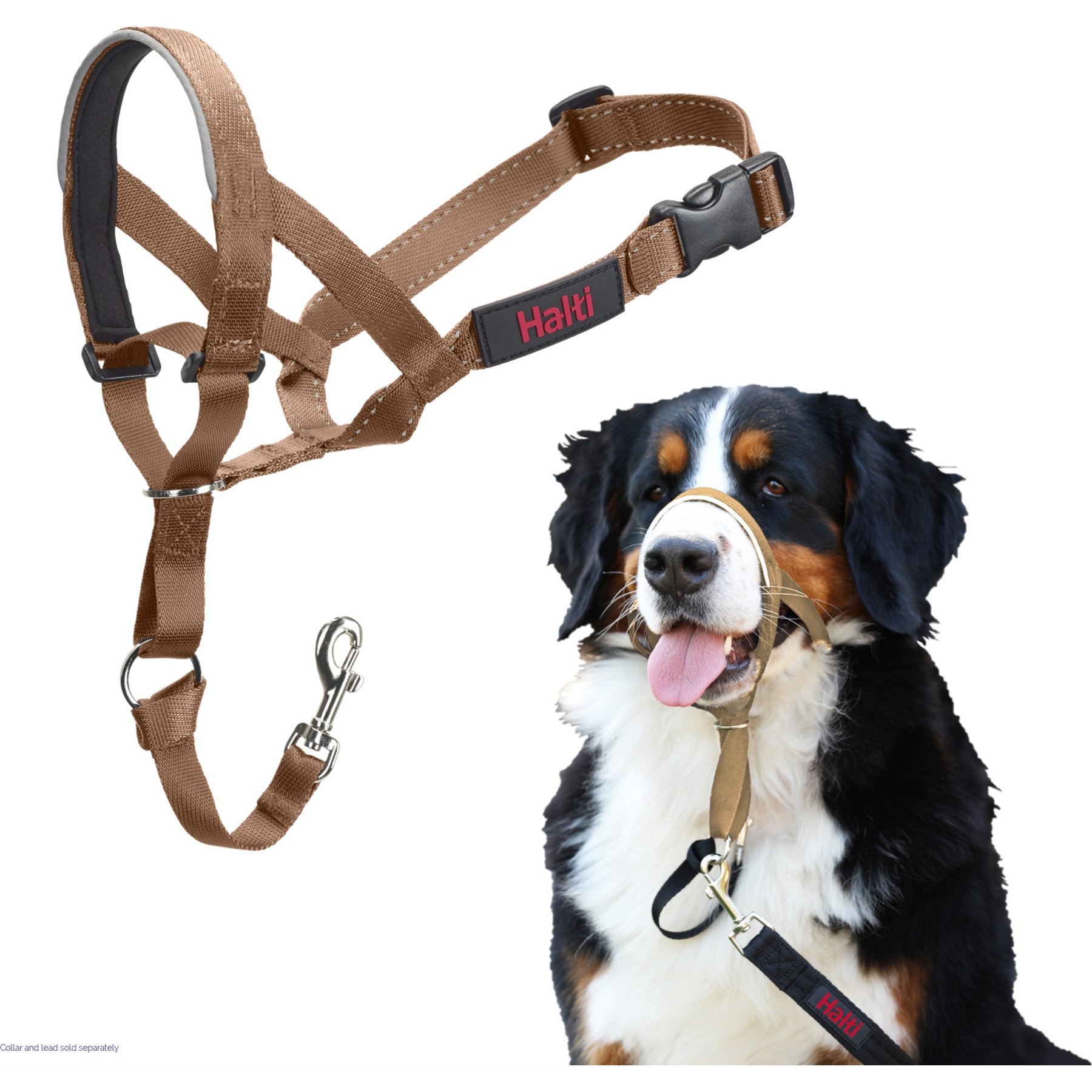 Halti Nylon Padded No Pull Dog Headcollar, Desert Sand, Size 4: 18 to 24.5-in neck