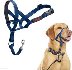 Halti Nylon Padded No Pull Dog Headcollar, Cobalt Blue, Size 3: 15.5 to 21-in neck