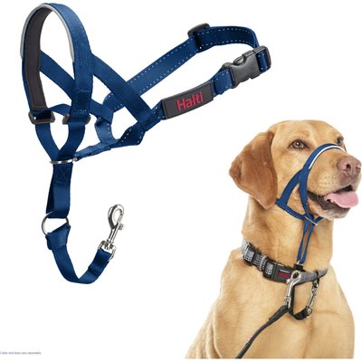Halti Halti Nylon Padded No Pull Dog Headcollar, Cobalt Blue, Size 3: 15.5 to 21-in neck