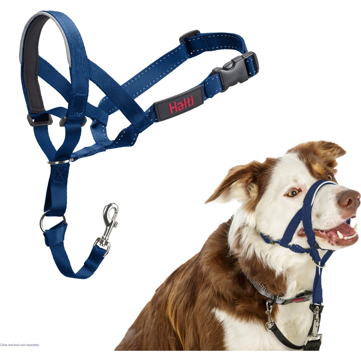 Halti Nylon Padded No Pull Dog Headcollar, Cobalt Blue, Size 2: 14 to 19-in neck