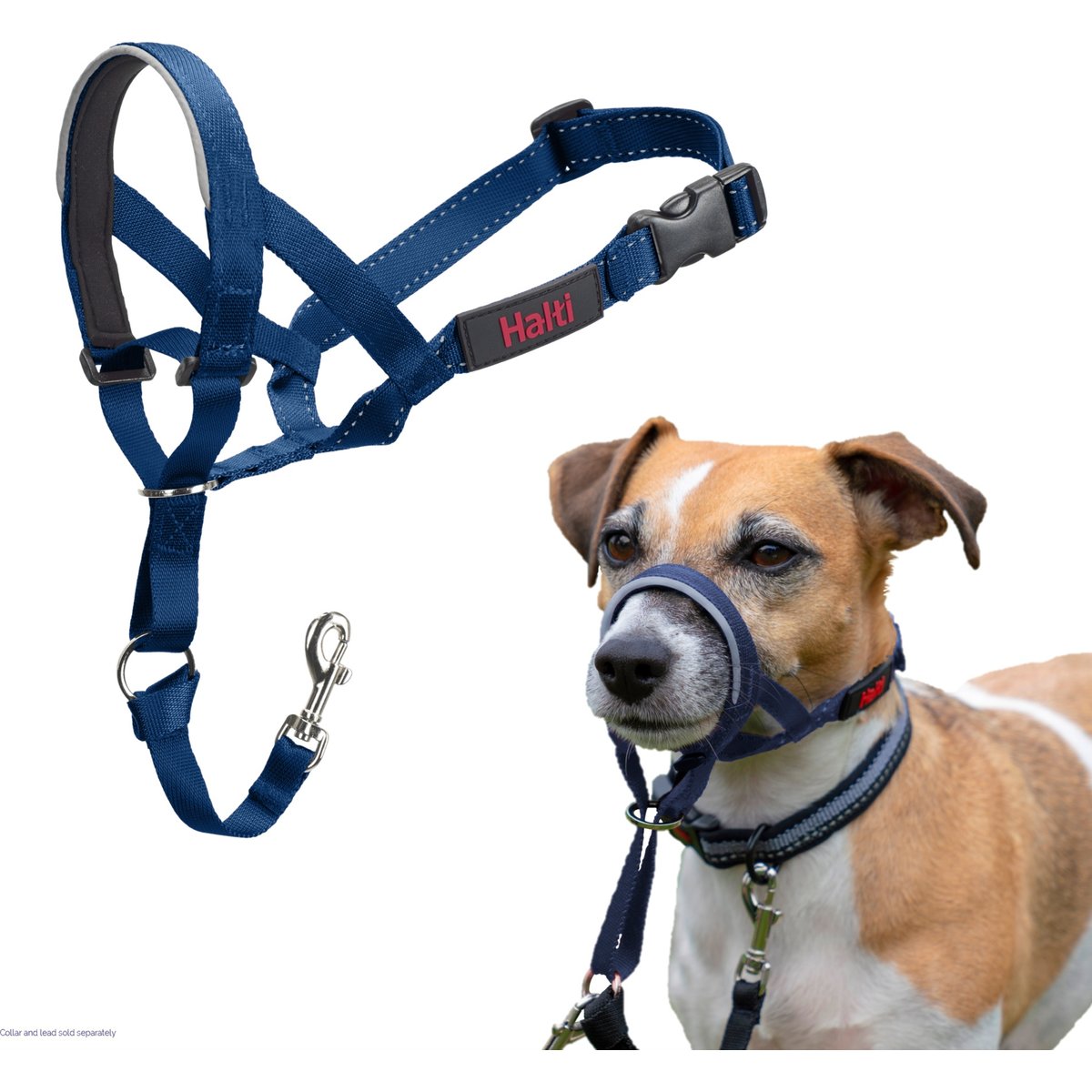 Halti Nylon Padded No Pull Dog Headcollar, Cobalt Blue, Size 1: 12 to 15.5-in neck