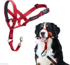 Halti Nylon Padded No Pull Dog Headcollar, Red, Size 4