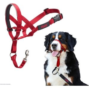 Halti Nylon Padded No Pull Dog Headcollar, Red, Size 4